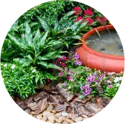 gallery/green_garden_1